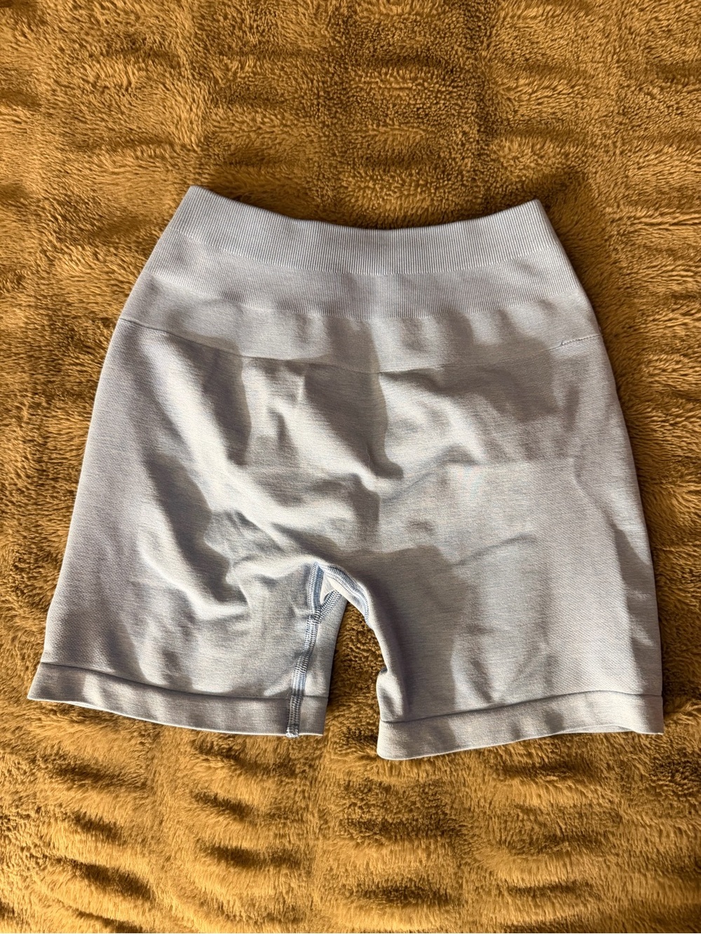 Alphalete Light Blue High-Rise Seamless Bike Shorts
